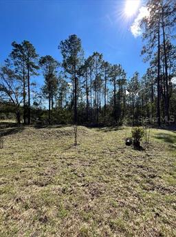 Picture of 4415 Olga Street, Hastings, FL 32145
