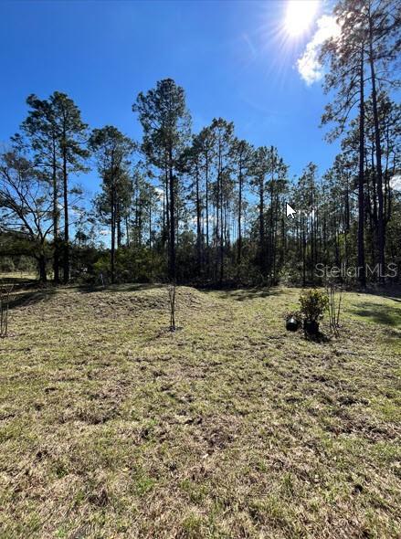 Picture of 4415 Olga Street, Hastings FL 32145