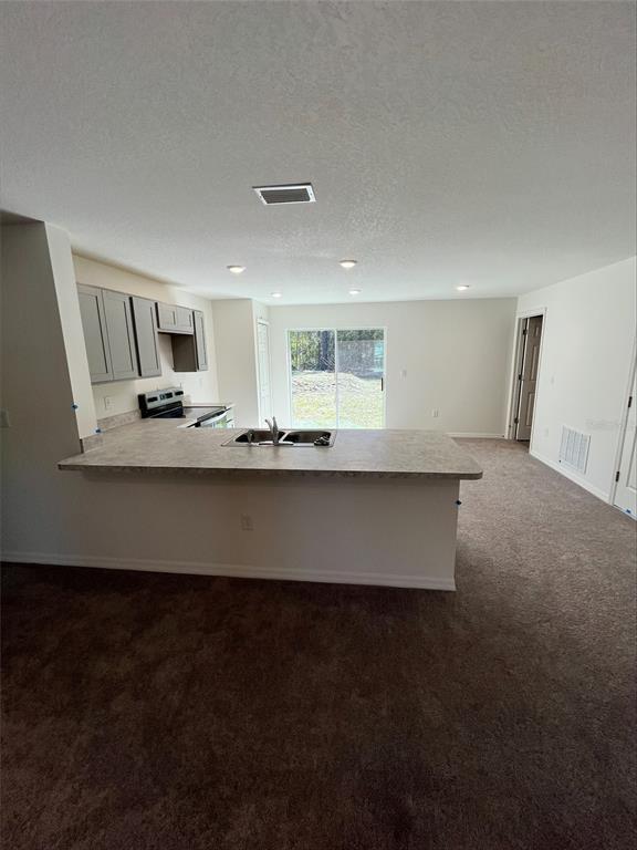 Picture of 4415 Olga Street, Hastings FL 32145