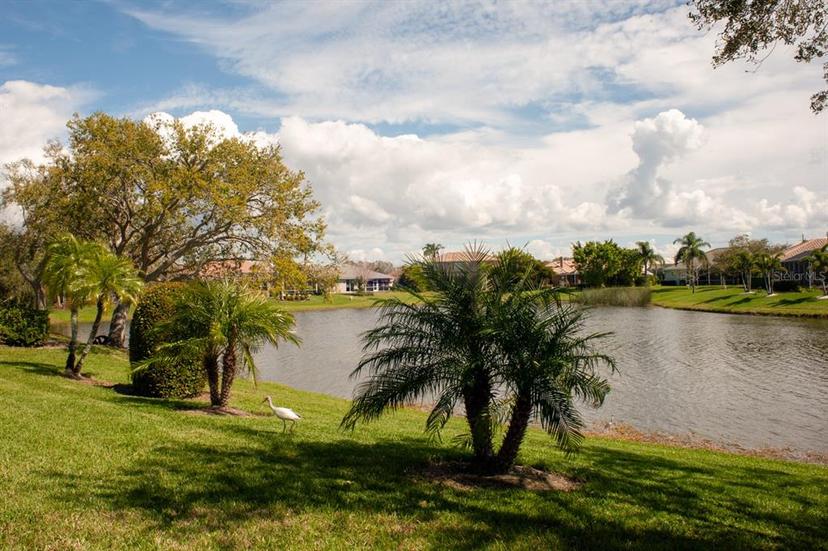 Picture of 2937 Seasons Boulevard, Sarasota FL 34240