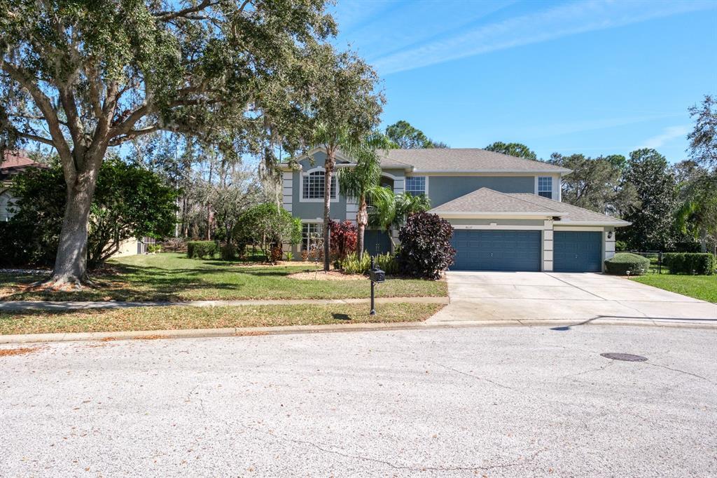 Picture of 4037 Auston Way, Palm Harbor, FL 34685