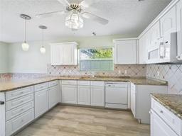 Picture of 203 Del Rio Drive, Lady Lake, FL 32159