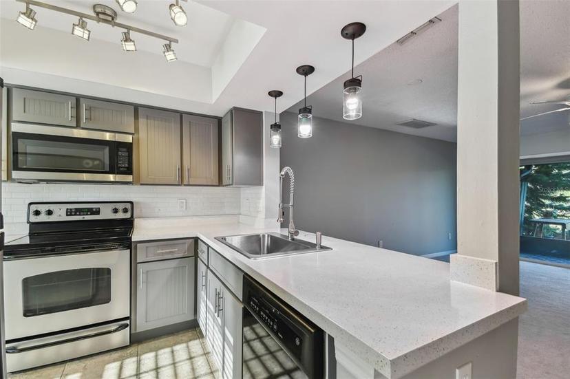 Picture of 16519 Brigadoon Drive, Tampa FL 33618