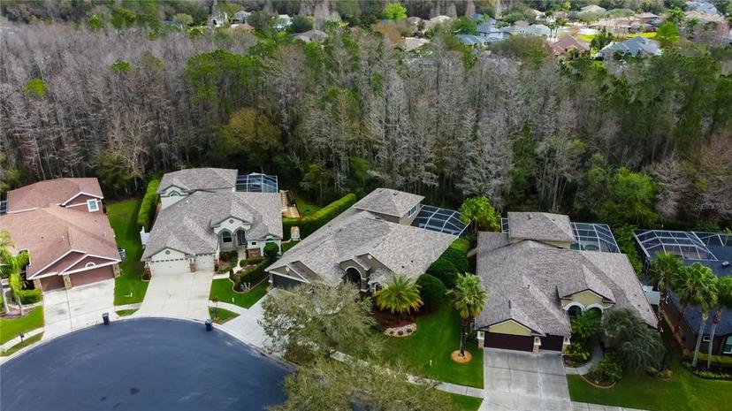 Picture of 14115 Lincolnshire Court, Tampa FL 33626