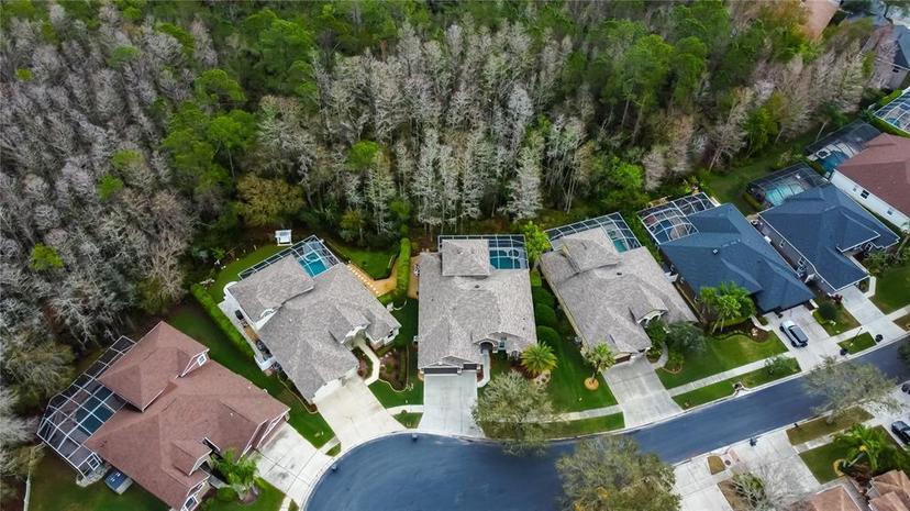 Picture of 14115 Lincolnshire Court, Tampa FL 33626