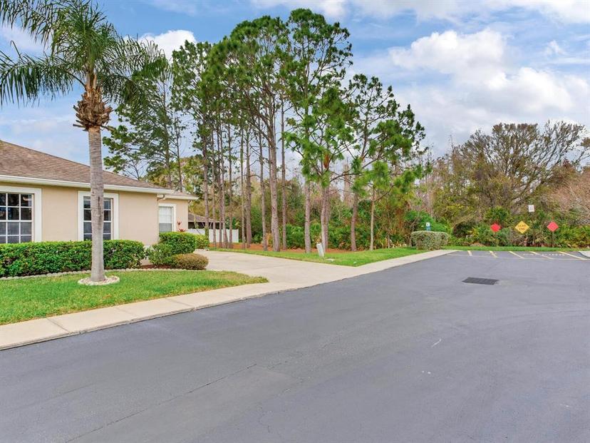 Picture of 10138 Mowry Lane, Tampa FL 33625