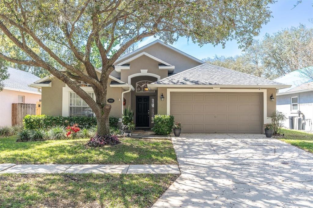 Picture of 18908 Nest Fern Circle, Tampa, FL 33647