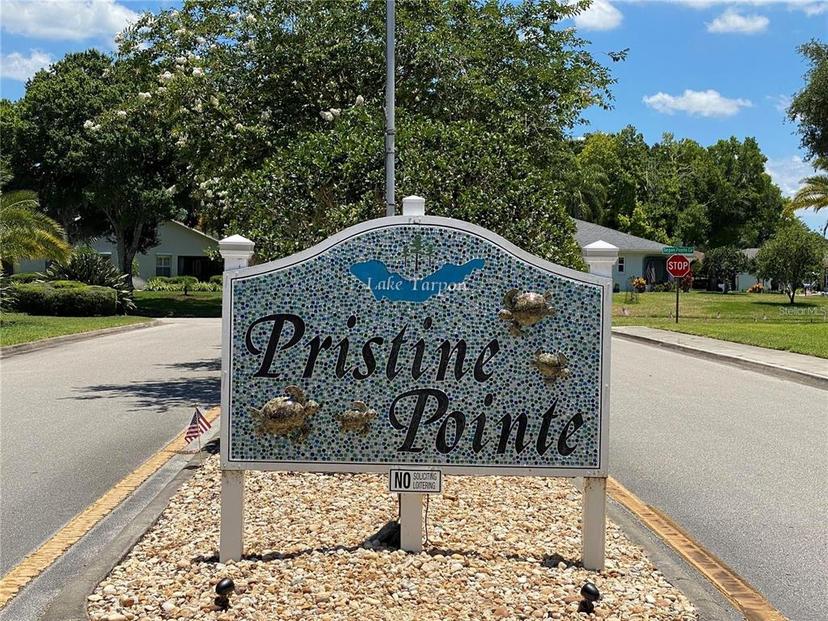 Picture of 3843 Tarpon Pointe Circle, Palm Harbor FL 34684
