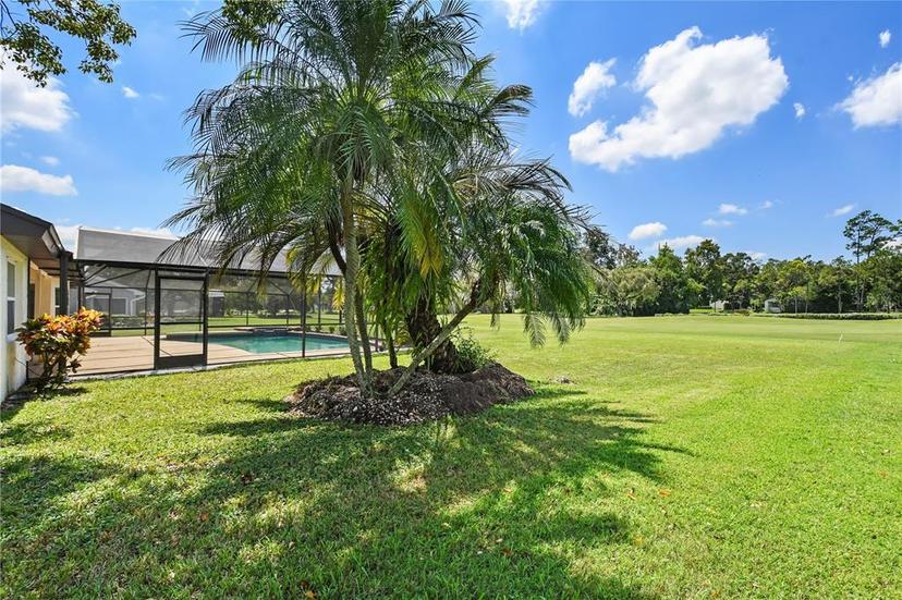 Picture of 7037 Edgeworth Drive, Orlando FL 32819