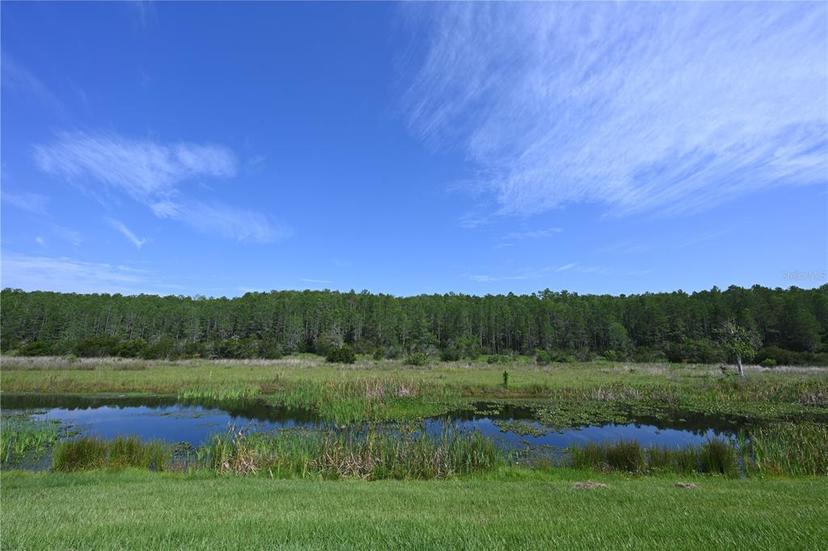 Picture of 2956 Penelope Loop, Kissimmee FL 34746
