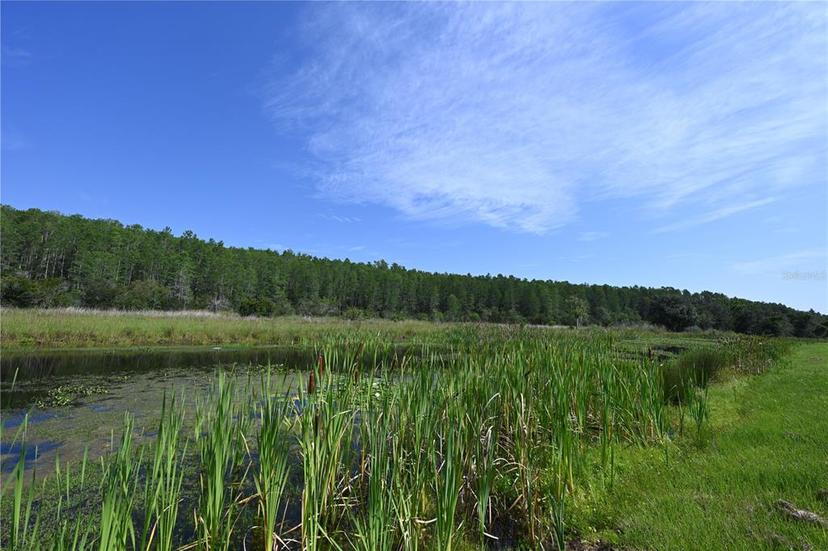 Picture of 2956 Penelope Loop, Kissimmee FL 34746