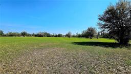 Picture of 2154 NW Genes Little Acres Avenue, Arcadia, FL 34266