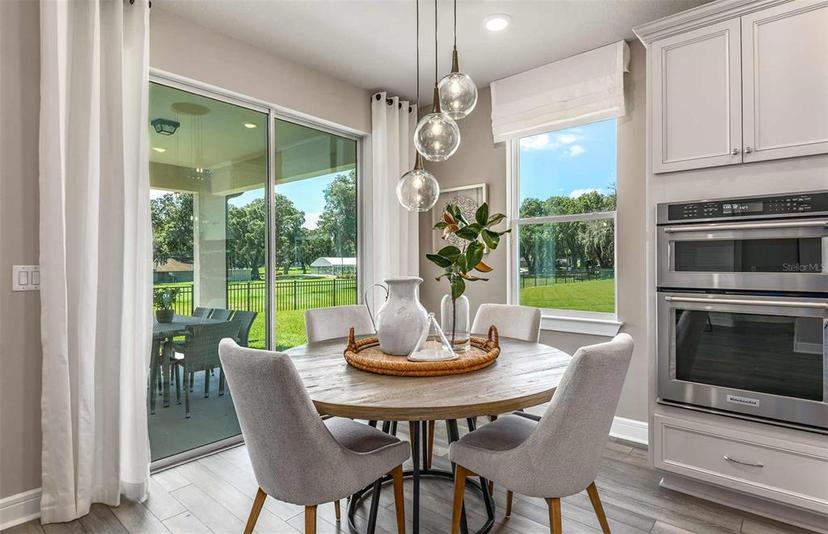 Picture of 9821 Crescent Moon Drive, Riverview FL 33578