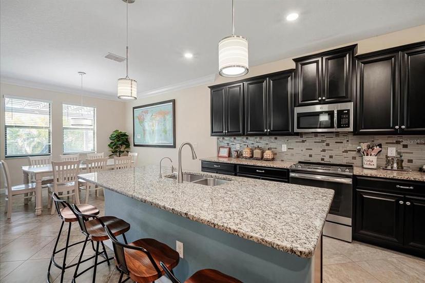 Picture of 11965 Cinnamon Fern Drive, Riverview FL 33579