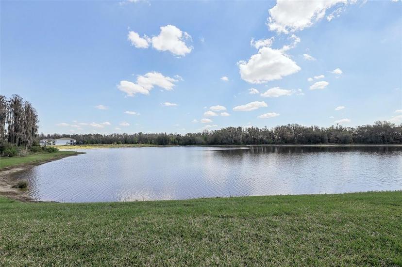 Picture of 10845 Sundrift Drive, Tampa FL 33647
