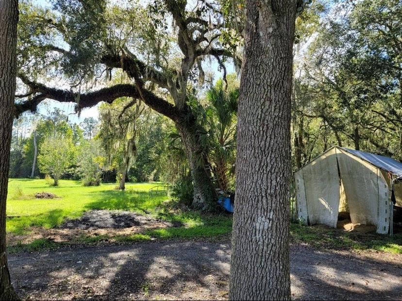 Picture of 213 Clifton Road, Crescent City FL 32112