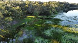 Picture of 11990 SE 112Th Avenue Road, Belleview, FL 34420