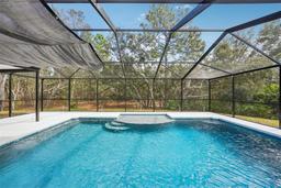 Picture of 13 Witch Hazel Court, Homosassa, FL 34446