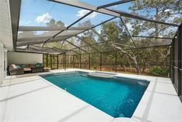 Picture of 13 Witch Hazel Court, Homosassa, FL 34446