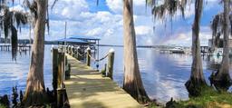 Picture of 1189 County Road 309, Crescent City, FL 32112