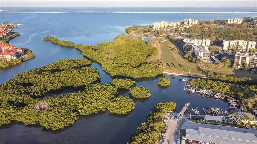 Picture of 1000 Cove Cay Drive Unit 5E, Clearwater FL 33760