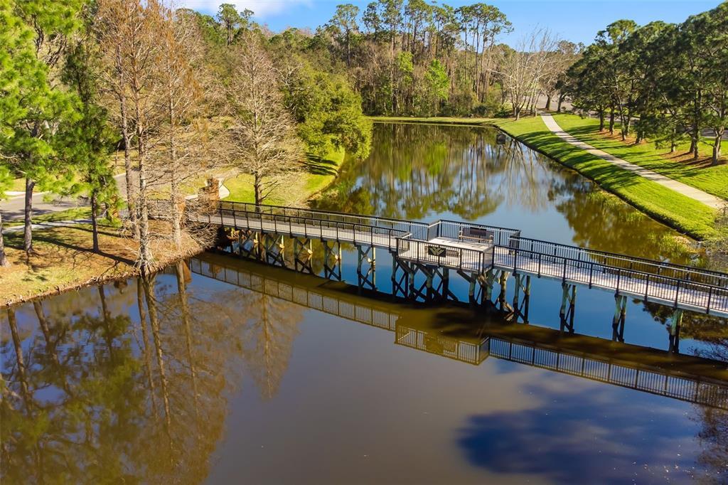 Picture of 12027 Wandsworth Drive, Tampa, FL 33626