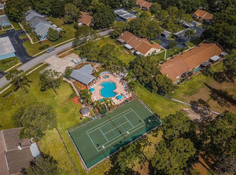 Picture of 2446 Bentley Drive, Palm Harbor FL 34684