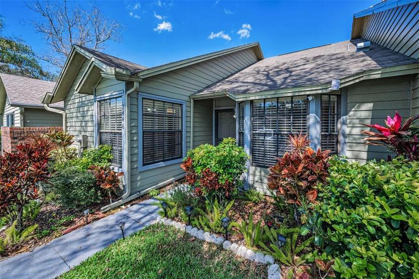 Picture of 2446 Bentley Drive, Palm Harbor FL 34684