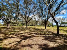 Picture of 301 S Wells Avenue, Avon Park, FL 33825