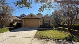 Picture of 8906 Iron Oak Avenue, Tampa, FL 33647