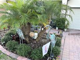 Picture of 2188 Palm Tree Drive, Kissimmee, FL 34759