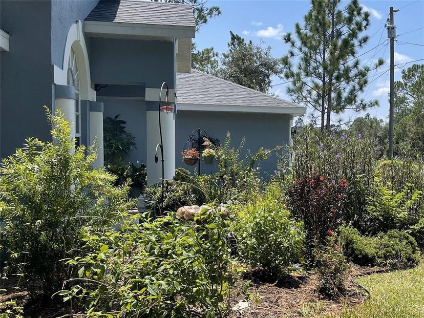 Picture of 9623 N Wayland Avenue, Citrus Springs FL 34434