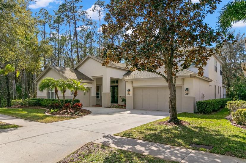 Picture of 14841 Tudor Chase Drive, Tampa FL 33626