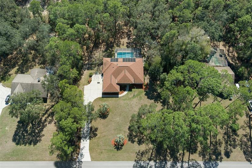 Picture of 1124 W Pearson Street, Hernando FL 34442