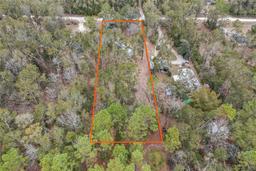 Picture of 4126 282Nd Terrace, Branford, FL 32008