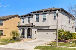Picture of 5524 Shasta Daisy Place, Land O Lakes, FL 34639