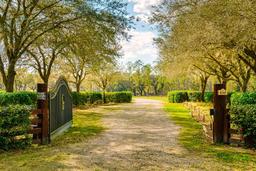 Picture of 4942 Cr 300, Lake Panasoffkee, FL 33538