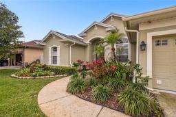 Picture of 1204 Blackrush Drive, Tarpon Springs, FL 34689