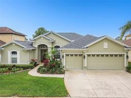 Picture of 1204 Blackrush Drive, Tarpon Springs, FL 34689