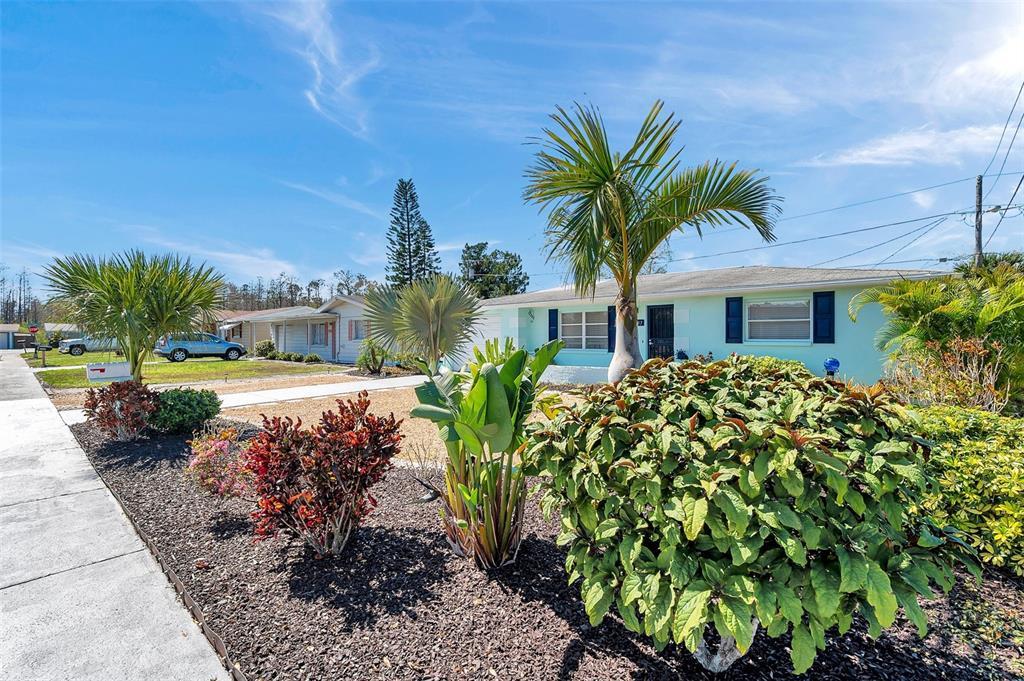 Picture of 3307 Maitland Drive, Holiday, FL 34691