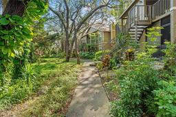 Picture of 14211 Shadow Moss Lane Unit 101, Tampa, FL 33613