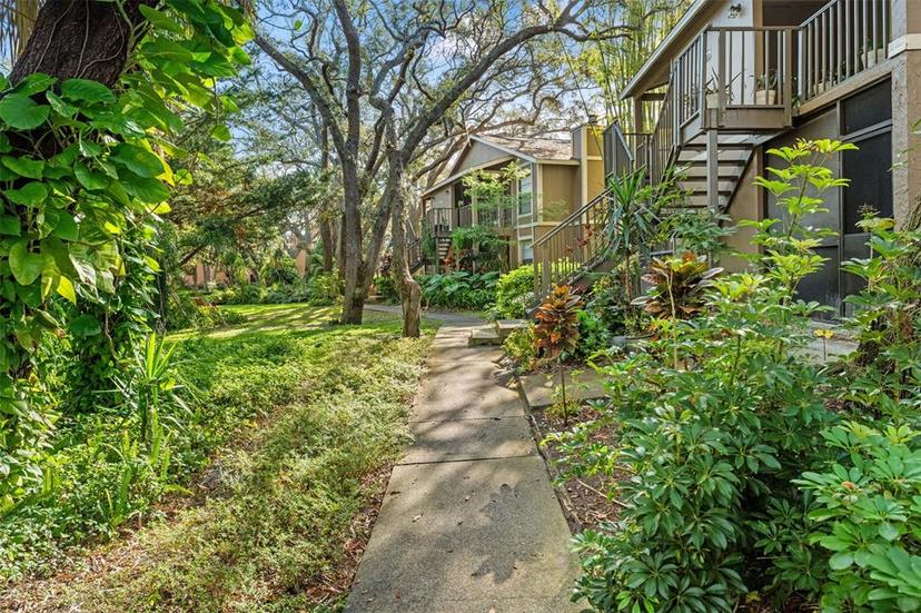 Picture of 14211 Shadow Moss Lane Unit 101, Tampa FL 33613