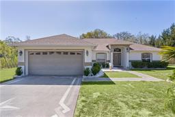 Picture of 377 Ed Douglas Road, Groveland, FL 34736
