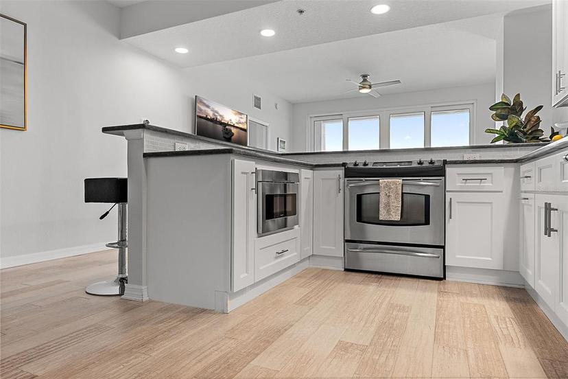 Picture of 226 5Th Avenue N Unit 901, St Petersburg FL 33701