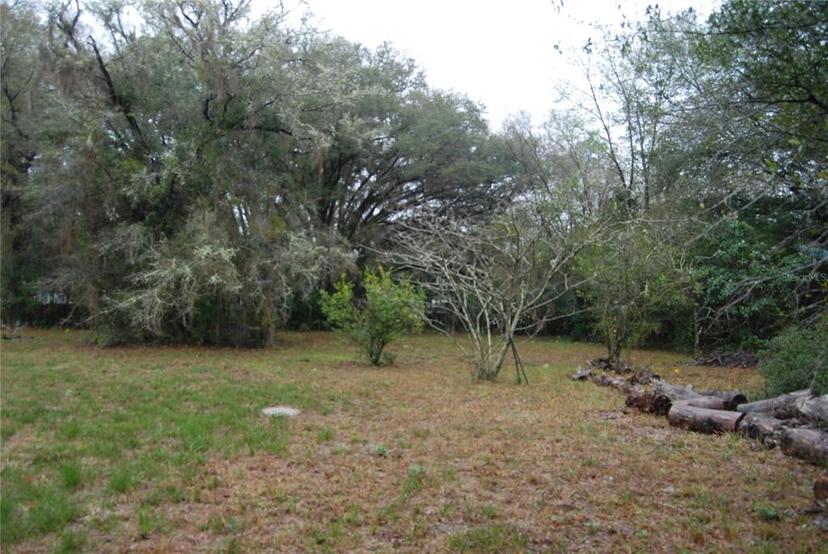 Picture of 16301 NE 138Th Court, Fort Mc Coy FL 32134