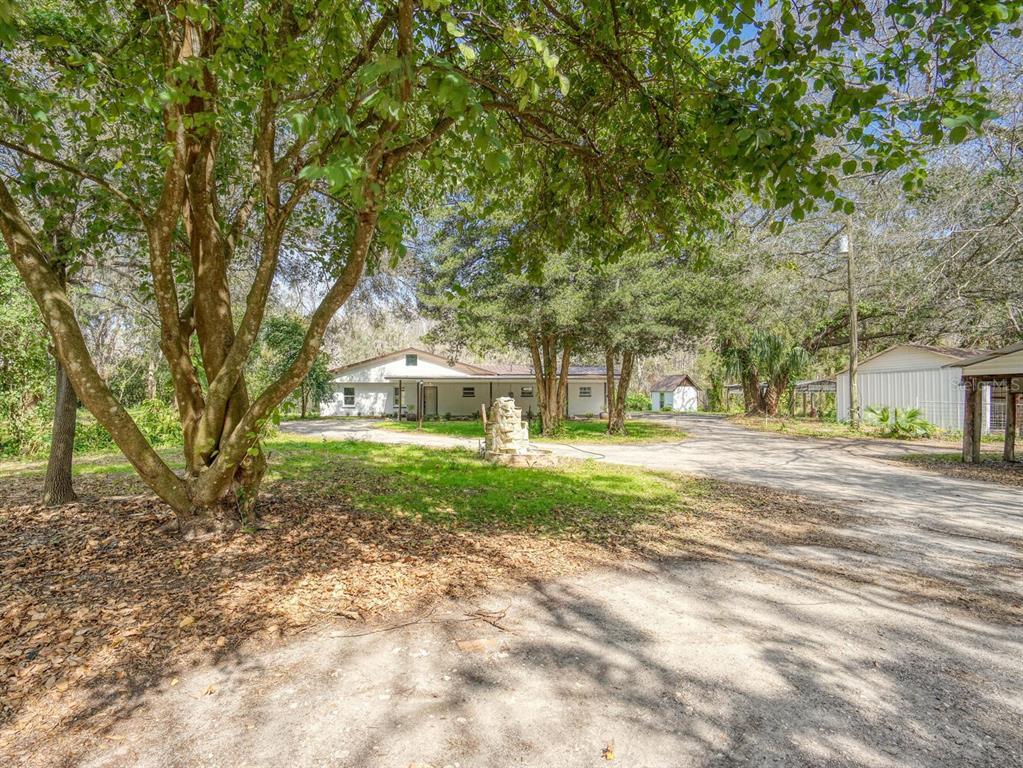 Picture of 14821 Sassandra Drive, Odessa, FL 33556