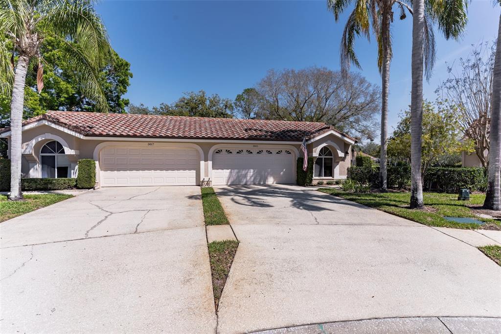 Picture of 3815 Muirfield Court, Palm Harbor, FL 34685
