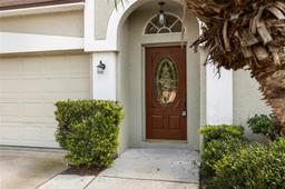 Picture of 12526 Blazing Star Drive, Tampa, FL 33626