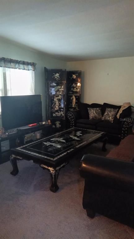 Picture of 29272 Heckleman Street, Brooksville FL 34602