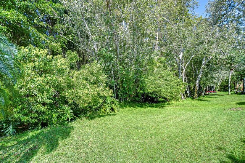 Picture of 10222 Woodford Bridge Street, Tampa FL 33626